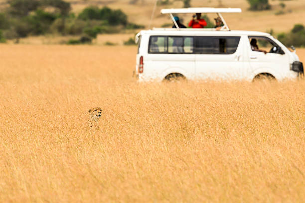 Pori Experts Safari Vehicle
